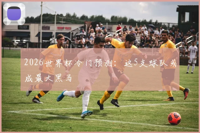 2026世界杯冷门预测：这5支球队或成最大黑马