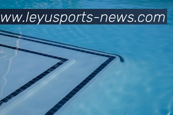 企业概况